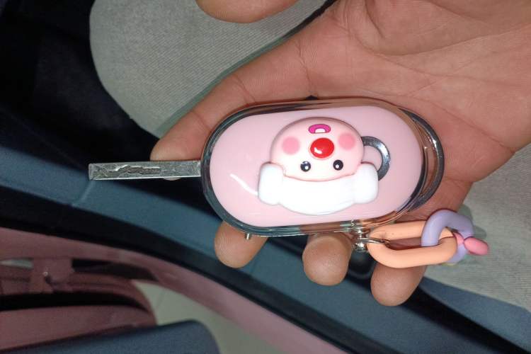 Used Bestune Pony 2025 222km Range Agile Horse