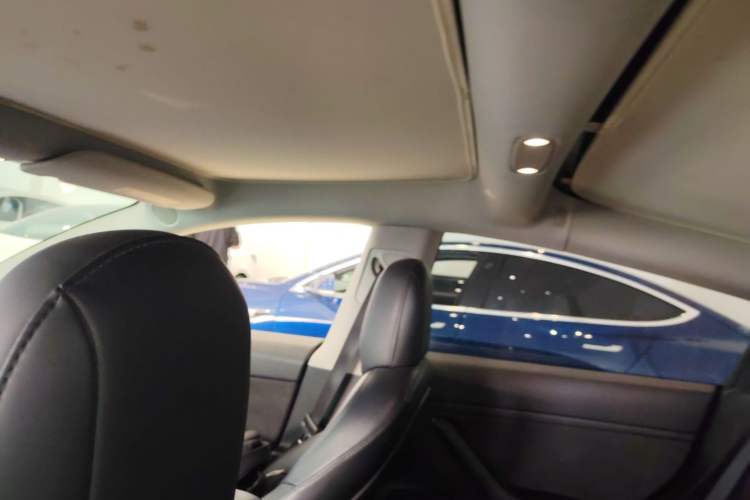 Used Tesla Model 3 2021 Revised Version Standard Range Rear-Wheel Drive Upgraded Edition 3D1
