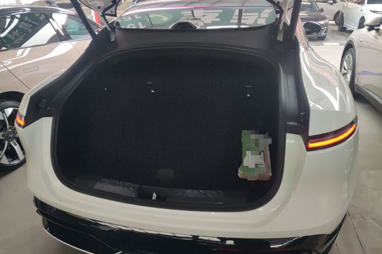 Used  06 2025 Max All-Electric Version