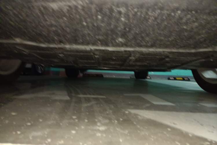 Used ORA Good Cat 2023 401 km Standard Range Luxury Version Lithium Iron Phosphate
