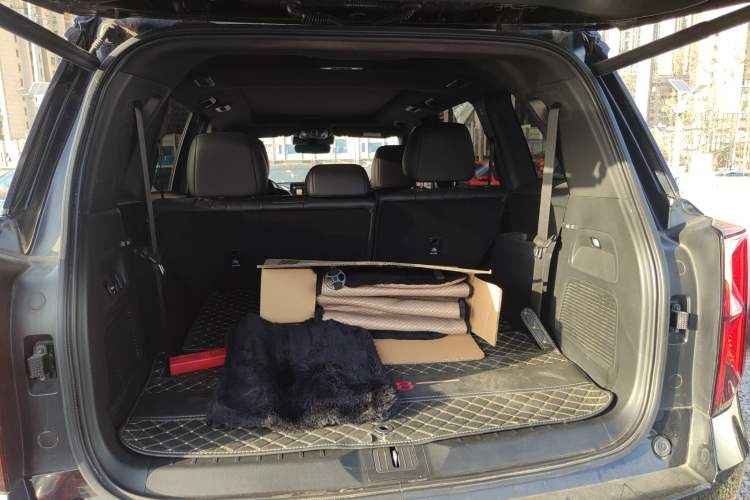 Used GAC Trumpchi GS8 2022 Linghang Series 2.0 TGDI Two-Wheel-Drive Luxury Smart Connectivity Version (7 Seats)
