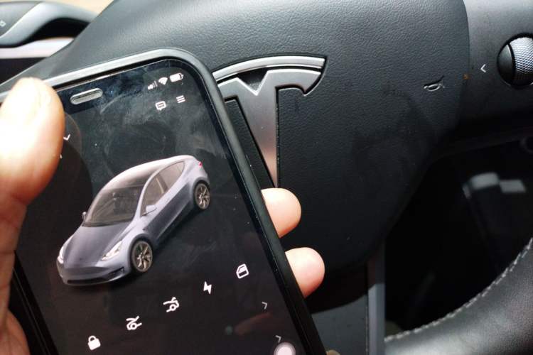 Used Tesla Model Y 2022 Rear-Wheel-Drive Version
