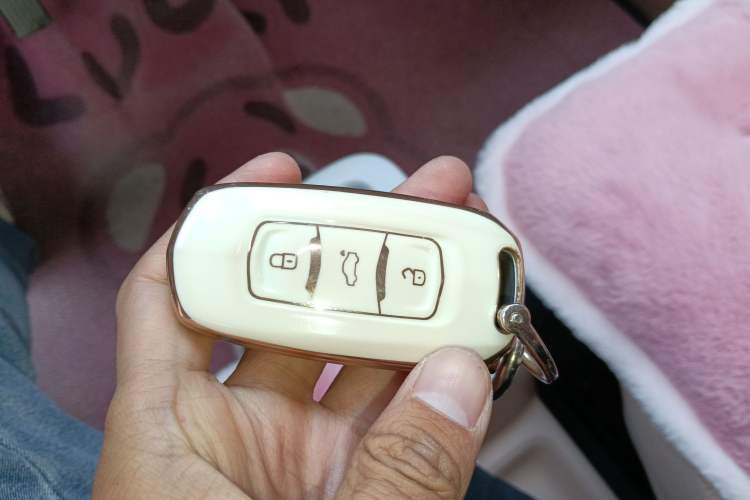 Used  Panda 2023 Panda Mini 200km Endurance Bear
