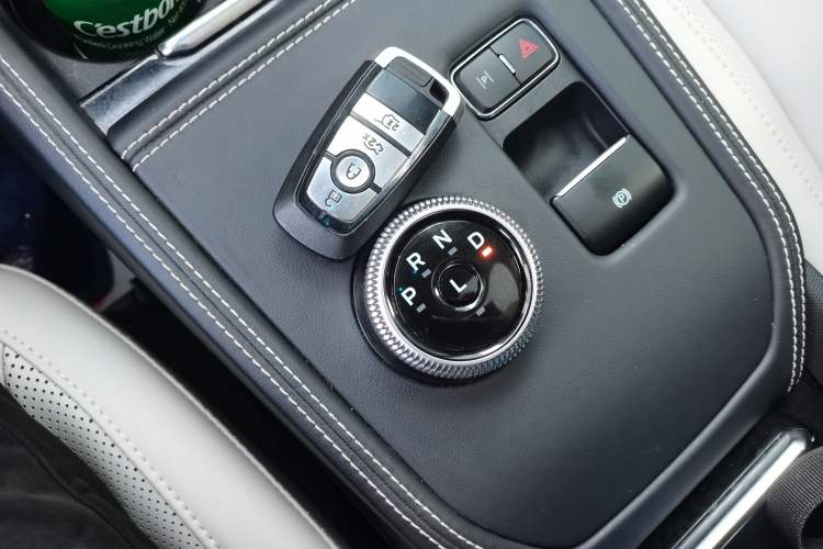 Used Ford Mustang Mach-E 2021 AION Y Plus Rear-Drive Luxury Edition (Long Range)
