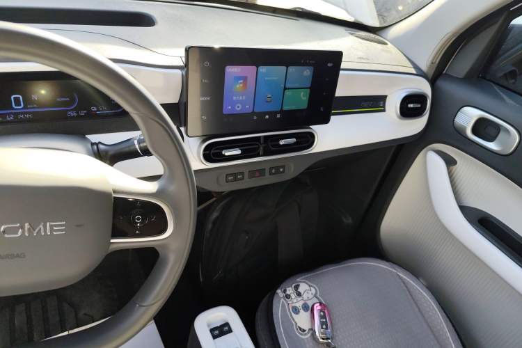 Used  Panda 2025 210 km – Yuanqi Bear
