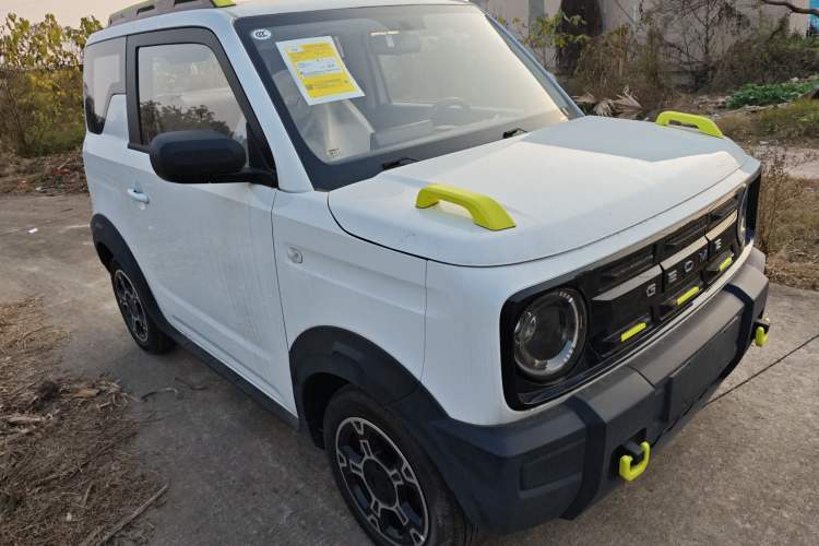 Used  Panda 2025 210km Panda Rider
