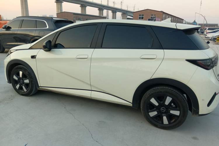Used BYD Dolphin 2025 Intelligent Driving Version 410 km Fashion Edition
