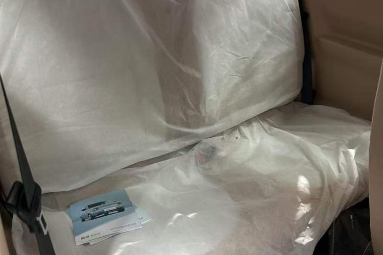 Used  Panda 2024 Panda Mini 200km Endurance Bear
