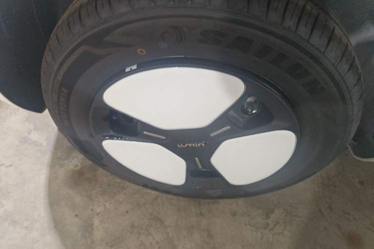 Used Qiyuan Lumin 2025 205 km Xiangqin Version