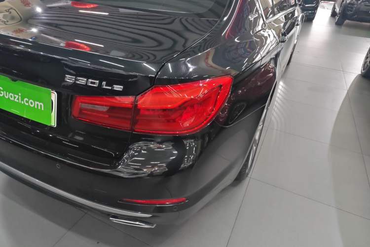 Used BMW 5 Series New Energy 2019 530Le Luxury Package