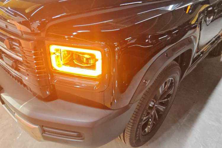 Used Haval Raptor New Energy 
