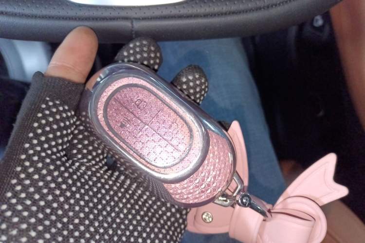 Used JETOUR Shanhai Shanhai L7 2024 1.5T 120km MAX 5-Seater
