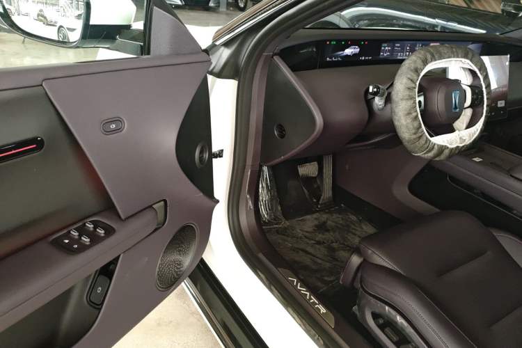 Used  06 2025 Max All-Electric Version
