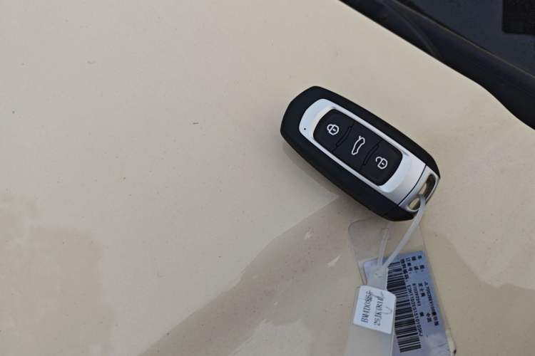 Used  Panda 2025 210 km – Yuanqi Bear