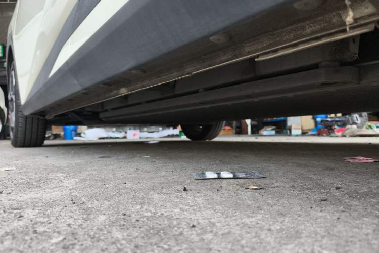 Used BYD Seagull 2023 Free Edition
