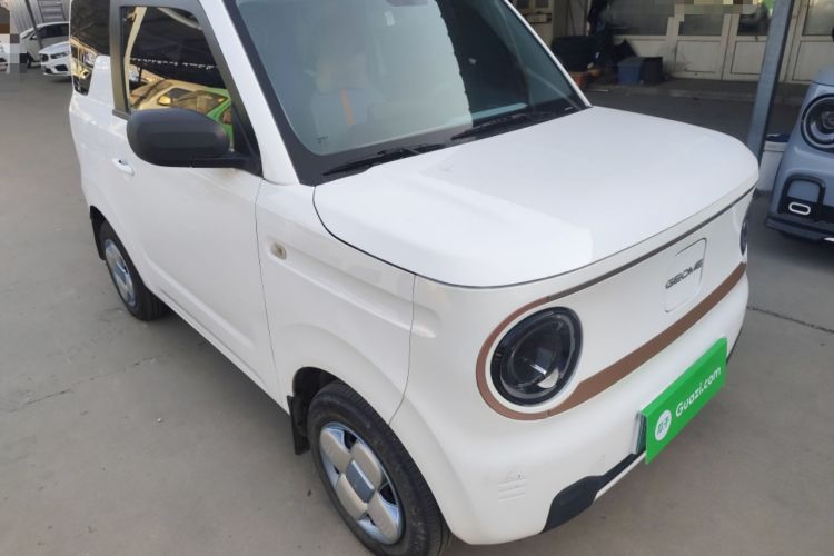Used  Panda 2023 Panda Mini 200km Endurance Bear
