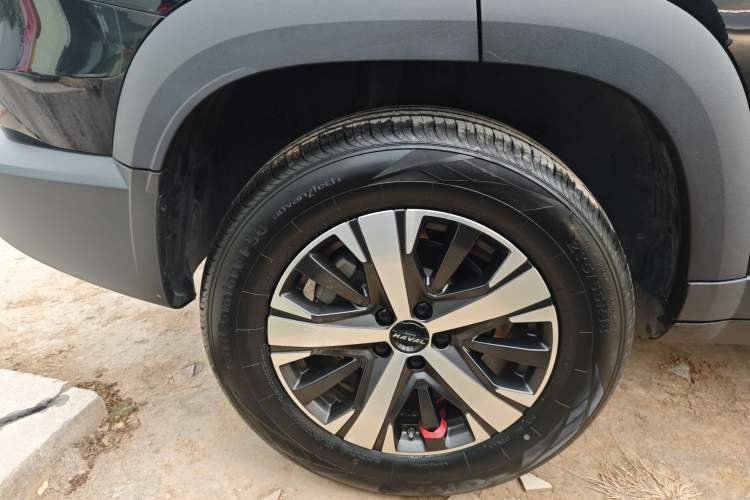 Used Haval DARGO 2022 1.5T DCT Two-Wheel Drive Labrador Edition
