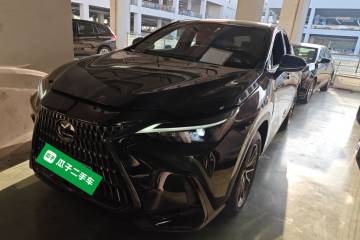 Used Lexus NX 2023 260 Front-Wheel Drive Chuanchi Edition