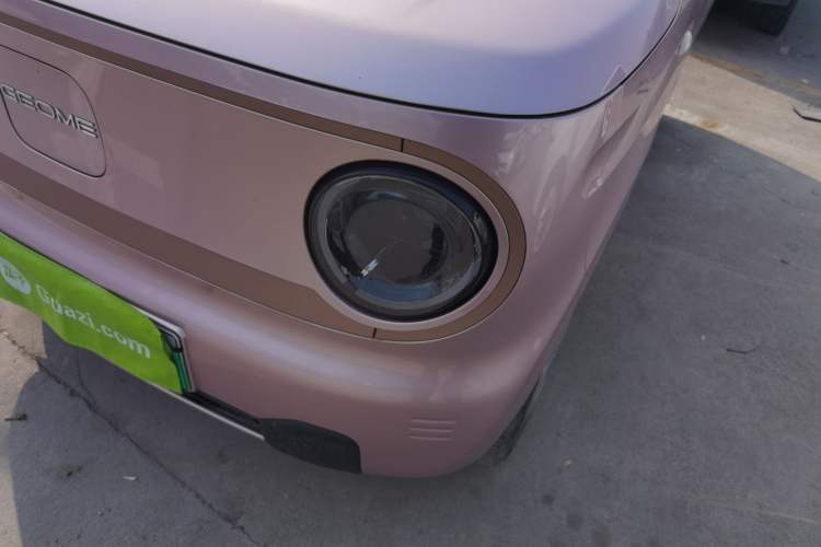 Used  Panda 2024 Panda Mini 200km Endurance Bear