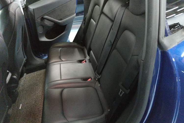 Used Tesla Model Y 2021 Long-Range All-Wheel-Drive Version 3D7