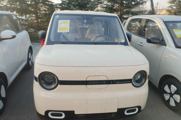 Used  Panda 2025 210 km – Yuanqi Bear
