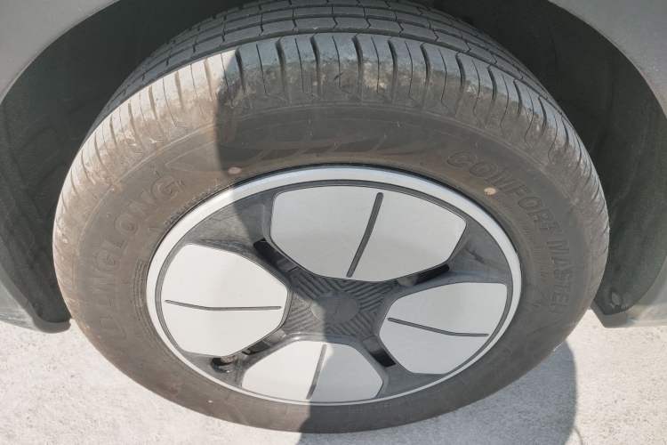 Used  Geome 2026 Model 310km Youth Edition
