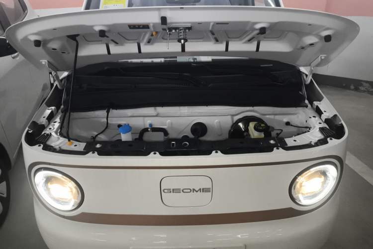 Used  Panda 2024 Panda Mini 200km Endurance Bear
