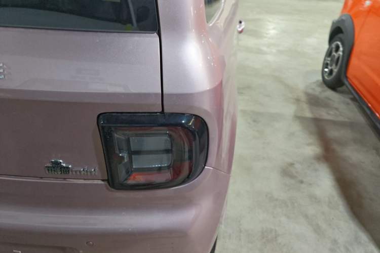 Used  Panda 2024 Panda Mini 200km Endurance Bear