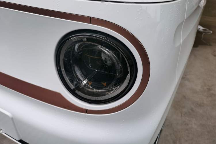 Used  Panda 2024 Panda Mini 200km Endurance Bear