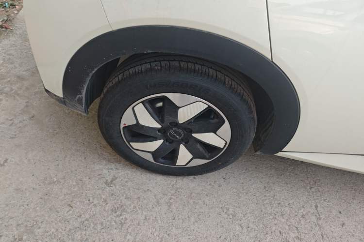 Used BYD Dolphin 2025 420km Free Edition
