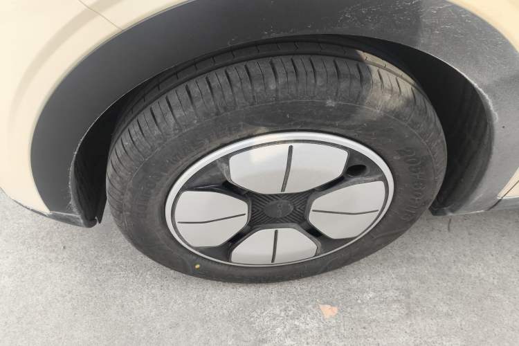 Used  Geome 2025 310km Youth Edition
