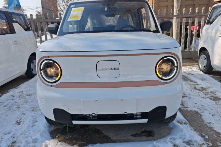 Used  Panda 2024 Panda Mini 200km Endurance Bear