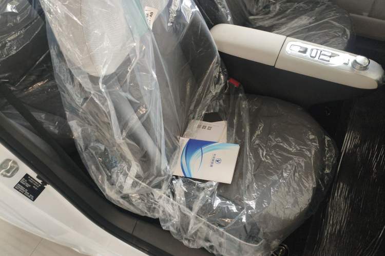 Used  Lumin 2025 205 km Xiangqin Version