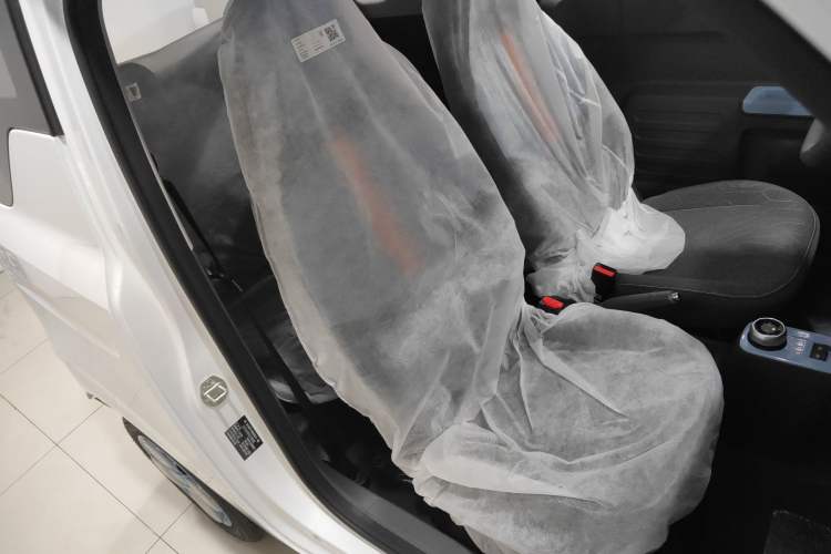 Used  Panda 2024 Panda Mini 200km Endurance Bear
