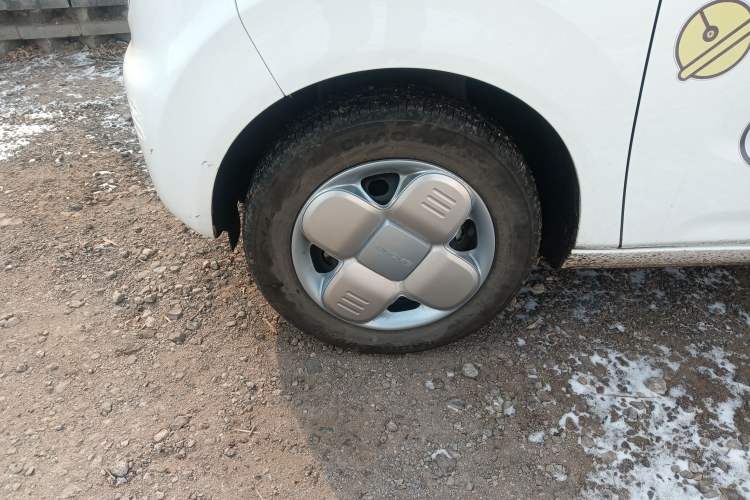 Used  Panda 2024 Panda Mini 200km Endurance Bear
