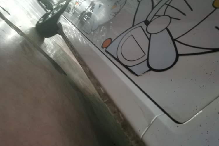 Used SOL E10X 2022 Flower Fairy Design Four-Leaf Clover
