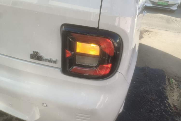 Used  Panda 2024 Panda Mini 200km Endurance Bear
