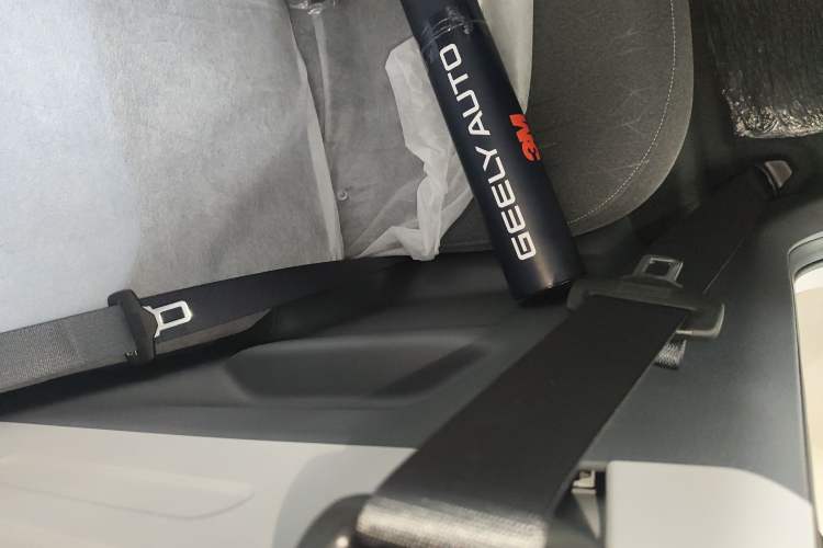 Used  Panda 2024 Panda Mini 200km Endurance Bear
