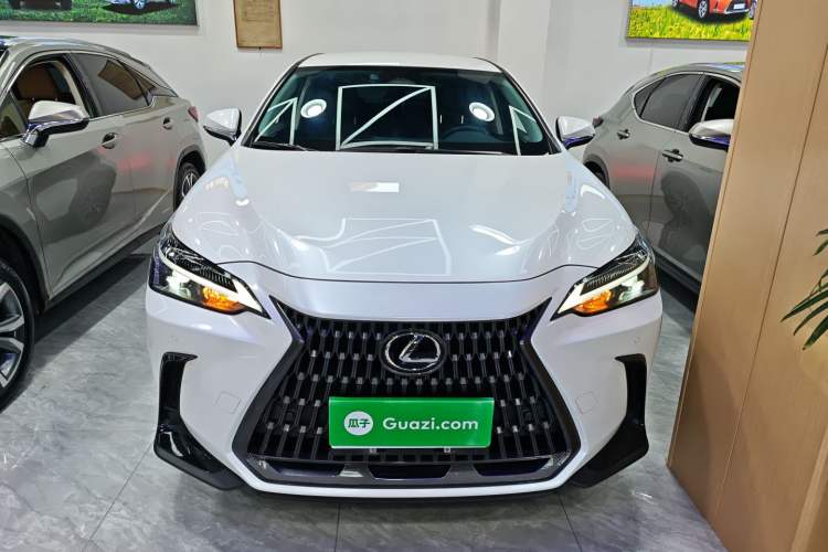 Used Lexus NX 2024 350h Front-Drive Xinchu Version