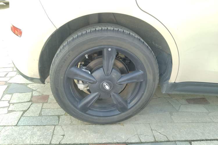 Used ORA Good Cat 2024 401 km Luxury Version
