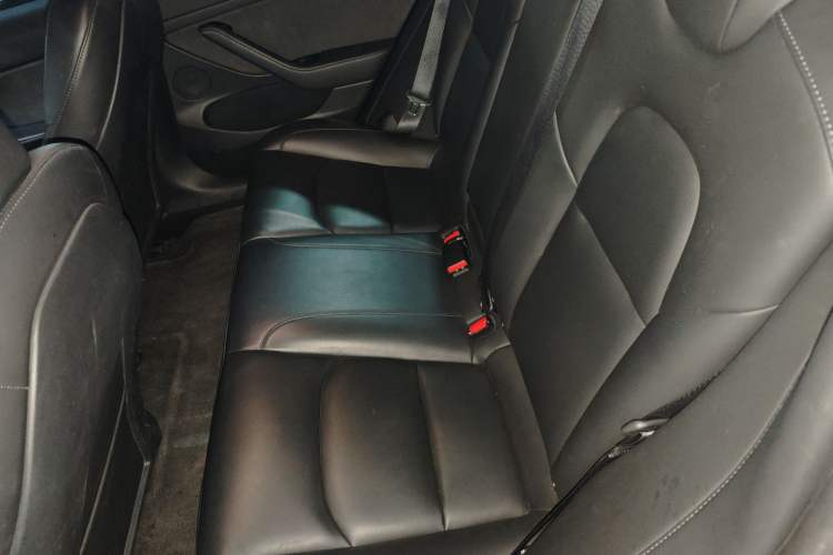 Used Tesla Model 3 2021 Standard Range Rear-Wheel Drive Upgraded Version 3D6
