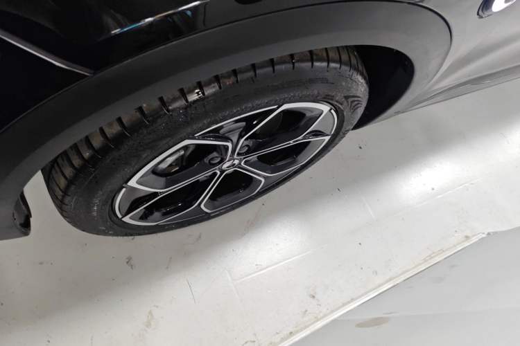 Used  #3 2024 Dynamic Standard Edition
