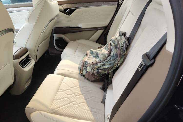 Used VOYAH FREE 2021 Four-Wheel Drive Standard Range-Extended Exclusive Luxury Package
