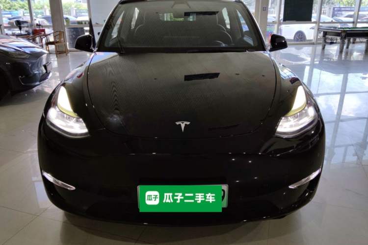 Used Tesla Model Y 2021 Standard Range Rear-Wheel Drive Version
