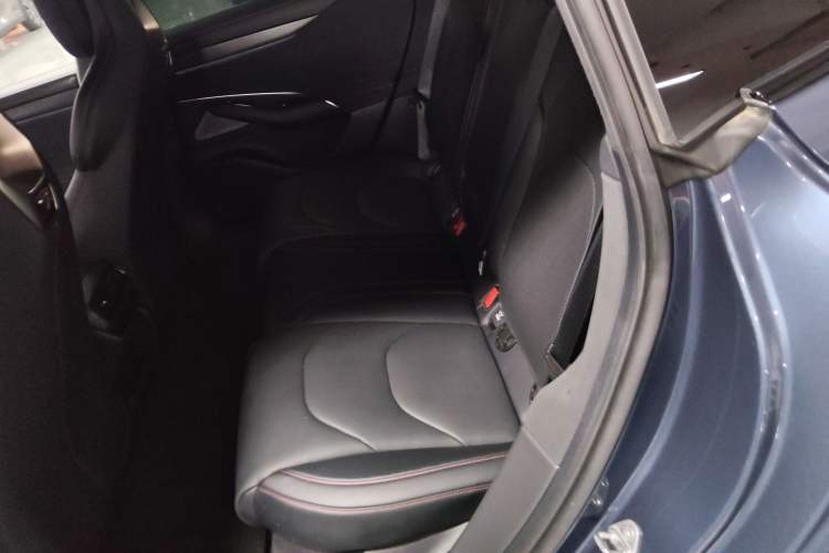 Used  SU7 2024 Rear-Drive Standard Founder Edition
