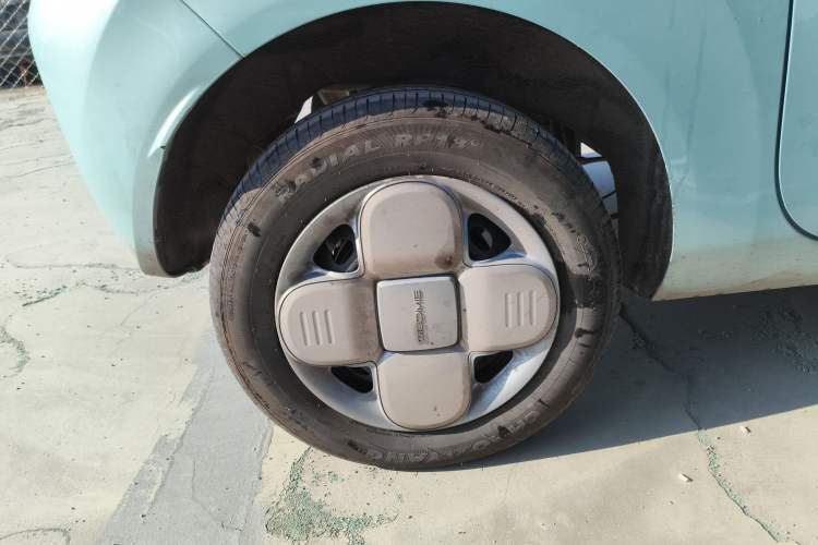 Used  Panda 2024 Panda Mini 200km Endurance Bear
