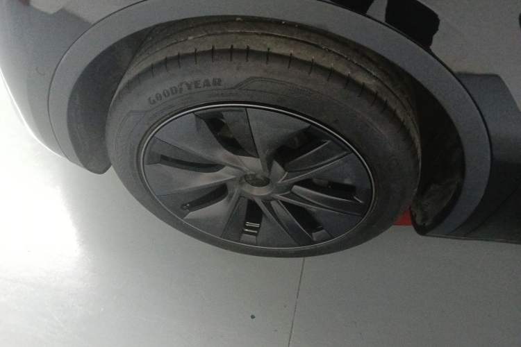 Used Tesla Model Y 2023 Rear-Wheel-Drive Version