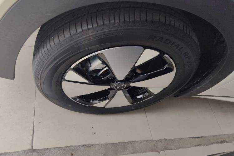 Used BYD Dolphin 2023 420 km Free Version
