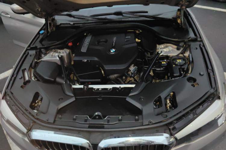 Used BMW 5 Series 2018 528Li Launch Special Edition
