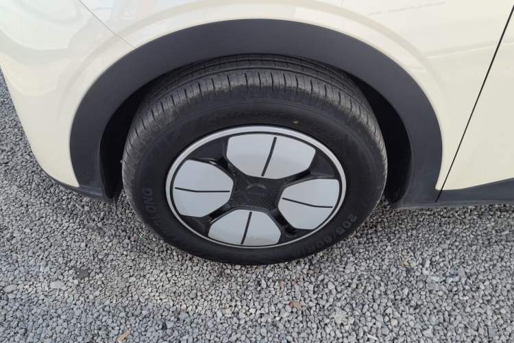 Used  Geome 2025 310km Youth Edition
